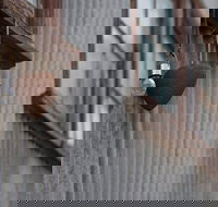 Our Little Gem B B - Accommodation in Brisbane