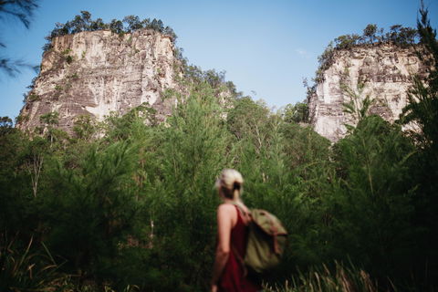 Sandstone Park Carnarvon Gorge - Accommodation in Brisbane 0