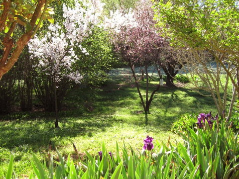 Sofala Cottage - Accommodation in Brisbane 0