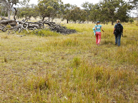 Sundown National Park Camping - Accommodation in Brisbane 2