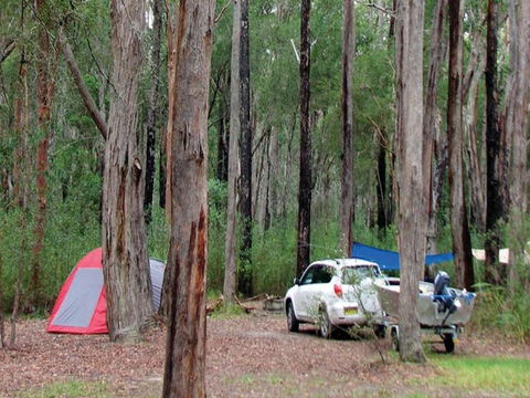 Wallingat River Campground - Accommodation in Brisbane 0