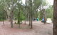 Wallingat River Campground - thumb 1
