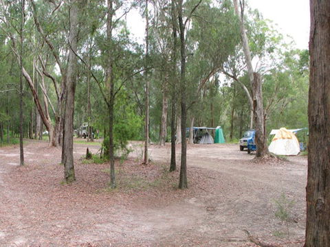 Wallingat River Campground - Accommodation in Brisbane 1
