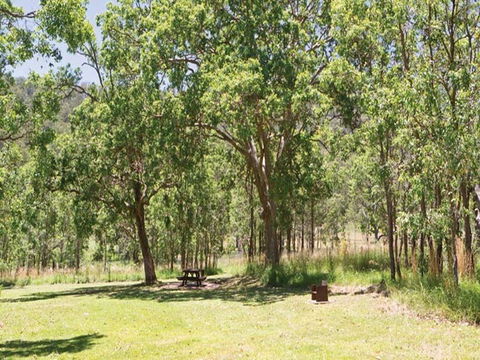 Youdales Hut Campground And Picnic Area - Accommodation in Brisbane 0