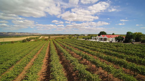 1837 Barossa Luxury Vineyard Cottages - Accommodation in Brisbane 0