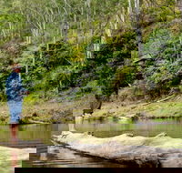 Bass Lodge - Accommodation in Brisbane