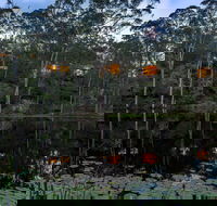 Billabong Retreat - Accommodation in Brisbane