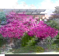 Crest Motor Inn - Accommodation in Brisbane