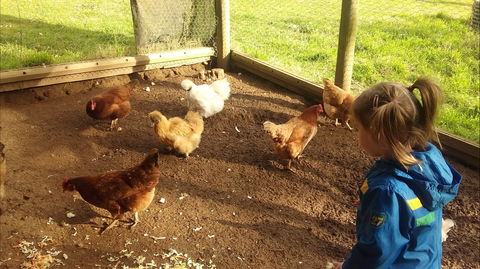 Emerald Park Holiday Farm - Accommodation in Brisbane 2