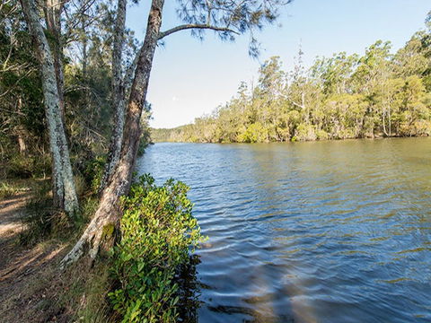 Ferny Creek Campground - Accommodation in Brisbane 0