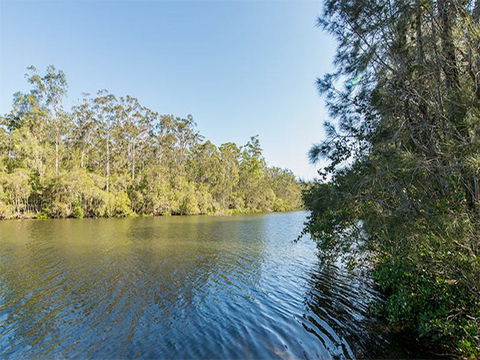 Ferny Creek Campground - Accommodation in Brisbane 1