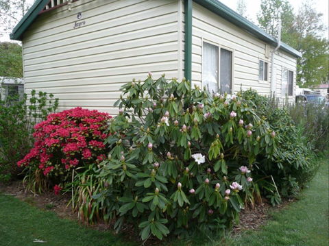 Jenolan Caravan Park - Accommodation in Brisbane 0