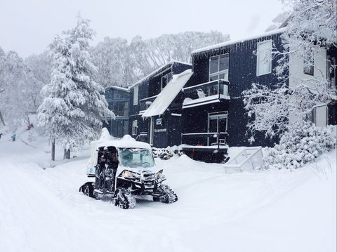 Kilimanjaro Alpine Apartments - Accommodation in Brisbane 2