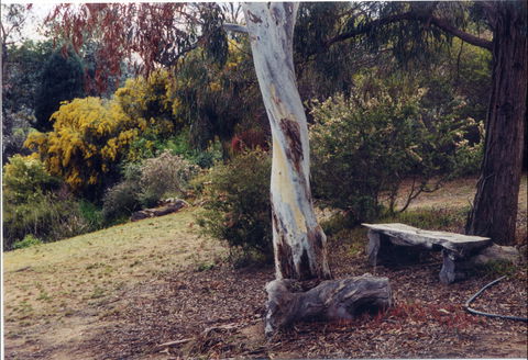 Kurringai Cottage - Accommodation in Brisbane 1