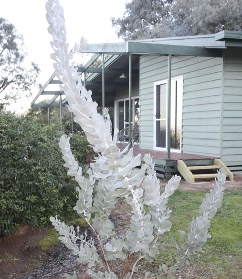 Kurringai Cottage - Accommodation in Brisbane 2