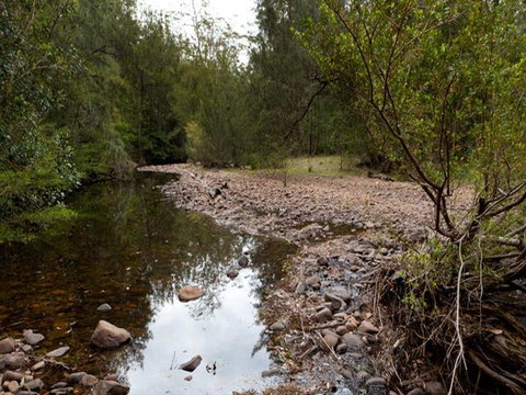 Long Gully Campground - Accommodation in Brisbane 1