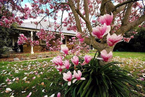 The Stone Cottage - Accommodation in Brisbane 1