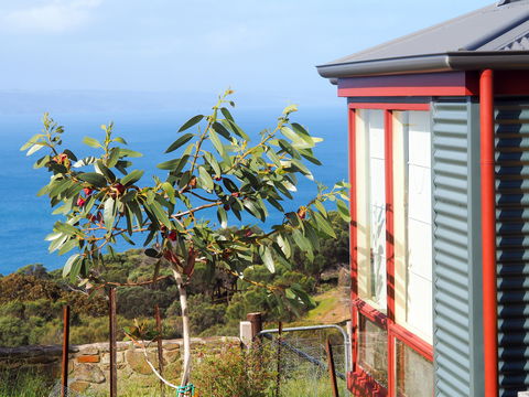 The Grass Tree Coastal Retreat Kangaroo Island - Accommodation in Brisbane 1