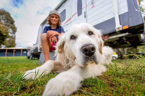 BIG4 St Helens Holiday Park - Accommodation in Brisbane 2