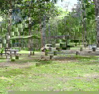 Broadwater camping area Abergowrie State Forest - Accommodation in Brisbane