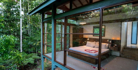 Crystal Creek Rainforest Retreat - Accommodation in Brisbane 2