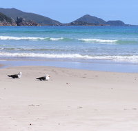 Eagles Rise Tasmania - Accommodation in Brisbane