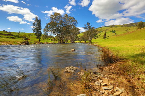 Elm Cottage Tumut - Accommodation in Brisbane 0