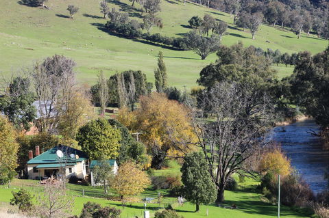 Elm Cottage Tumut - Accommodation in Brisbane 1