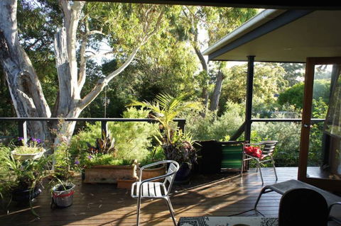 Kookaburra Dreaming - Accommodation in Brisbane 2
