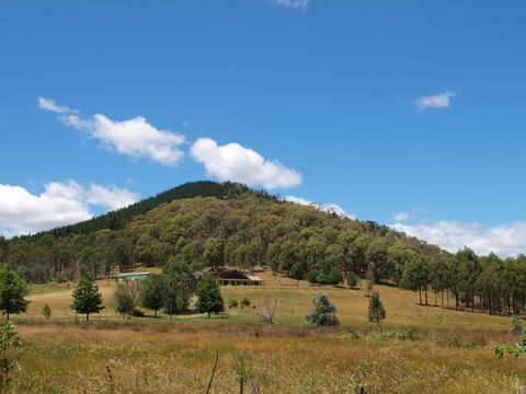 Mad On The Buckland - Accommodation in Brisbane 1