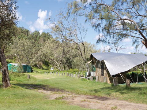 Pebbly Beach Campground - Yuraygir National Park - Accommodation in Brisbane 0