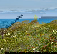 Preston Beach Front Apartment