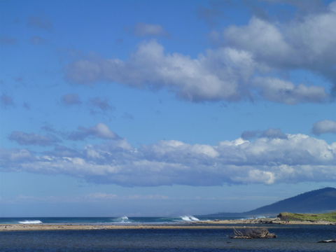 Scamander On The Beach - Accommodation in Brisbane 1