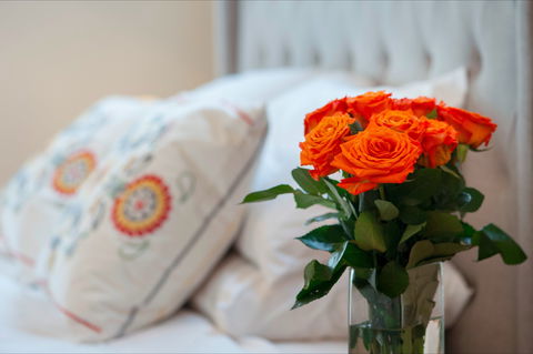 The Nest At Gundaroo - Accommodation in Brisbane 1