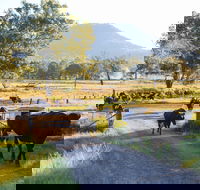 Tommerups Dairy Farmstay - Accommodation in Brisbane