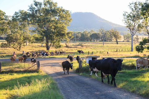 Tommerups Dairy Farmstay - Accommodation in Brisbane 0