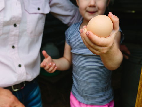 Tommerups Dairy Farmstay - Accommodation in Brisbane 1