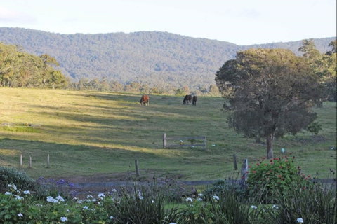 Wallaby Cottage - Accommodation in Brisbane 0