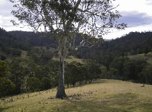 Yasuragi Cabins - Accommodation in Brisbane 1