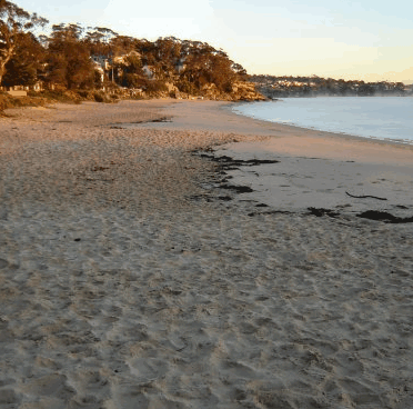 Beachhaven Bed & Breakfast - Accommodation in Brisbane 5