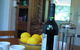 Murnong Self Contained Cottages - thumb 2