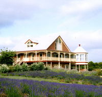 Serendipity Lavender Farm - Accommodation in Brisbane