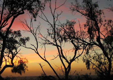 Grandview Manor And Cottage - Accommodation in Brisbane 1