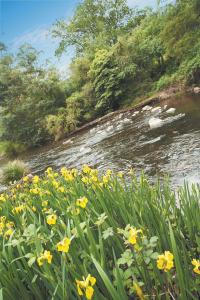 Grange Yarra Valley - Accommodation in Brisbane 4