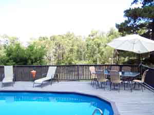 Sunway Farm B And B And Tours - Accommodation in Brisbane 3