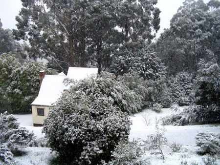Tranquillity Cottage - Accommodation in Brisbane 0