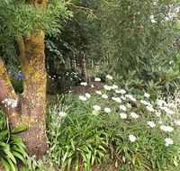 Springbank Bed and Breakfast - Accommodation in Brisbane