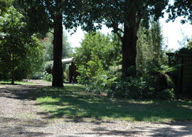 Bloomfield Cottages - Accommodation in Brisbane 2