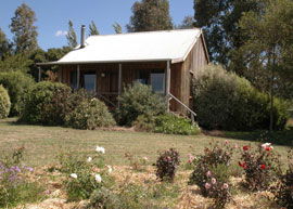 Bloomfield Cottages - Accommodation in Brisbane 3