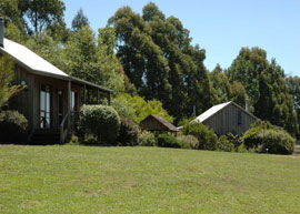Bloomfield Cottages - Accommodation in Brisbane 4